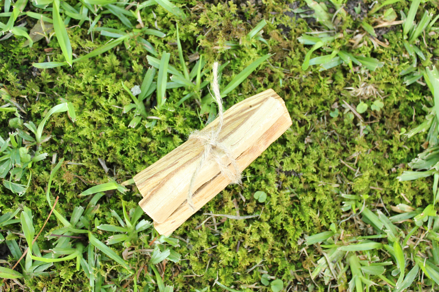 Palo Santo Bundles (3 Sticks)