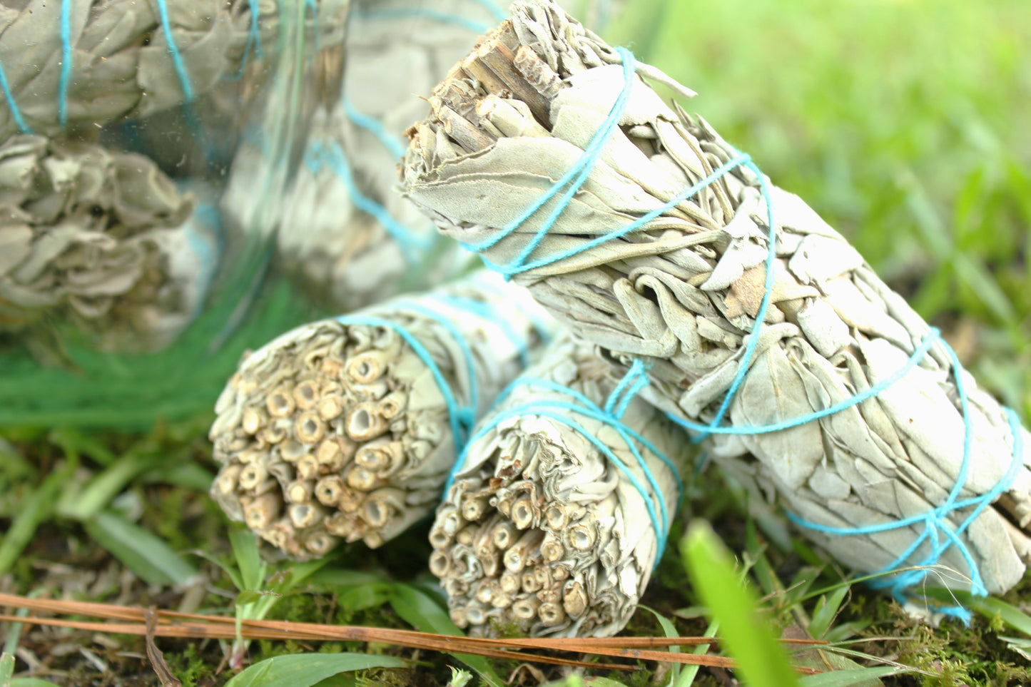 White Sage Smudge Stick