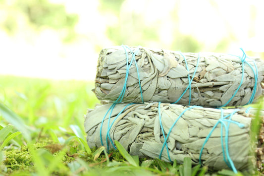 White Sage Smudge Stick