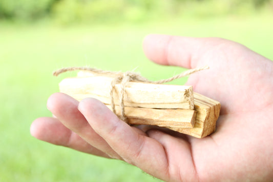 Palo Santo Bundles (3 Sticks)